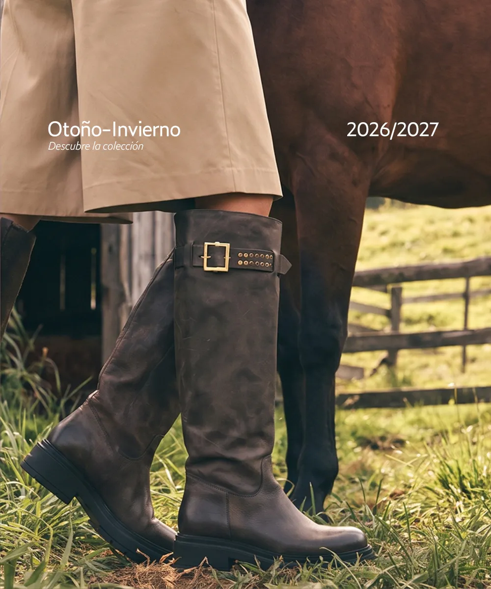 Novedades Otoño-Invierno 2 