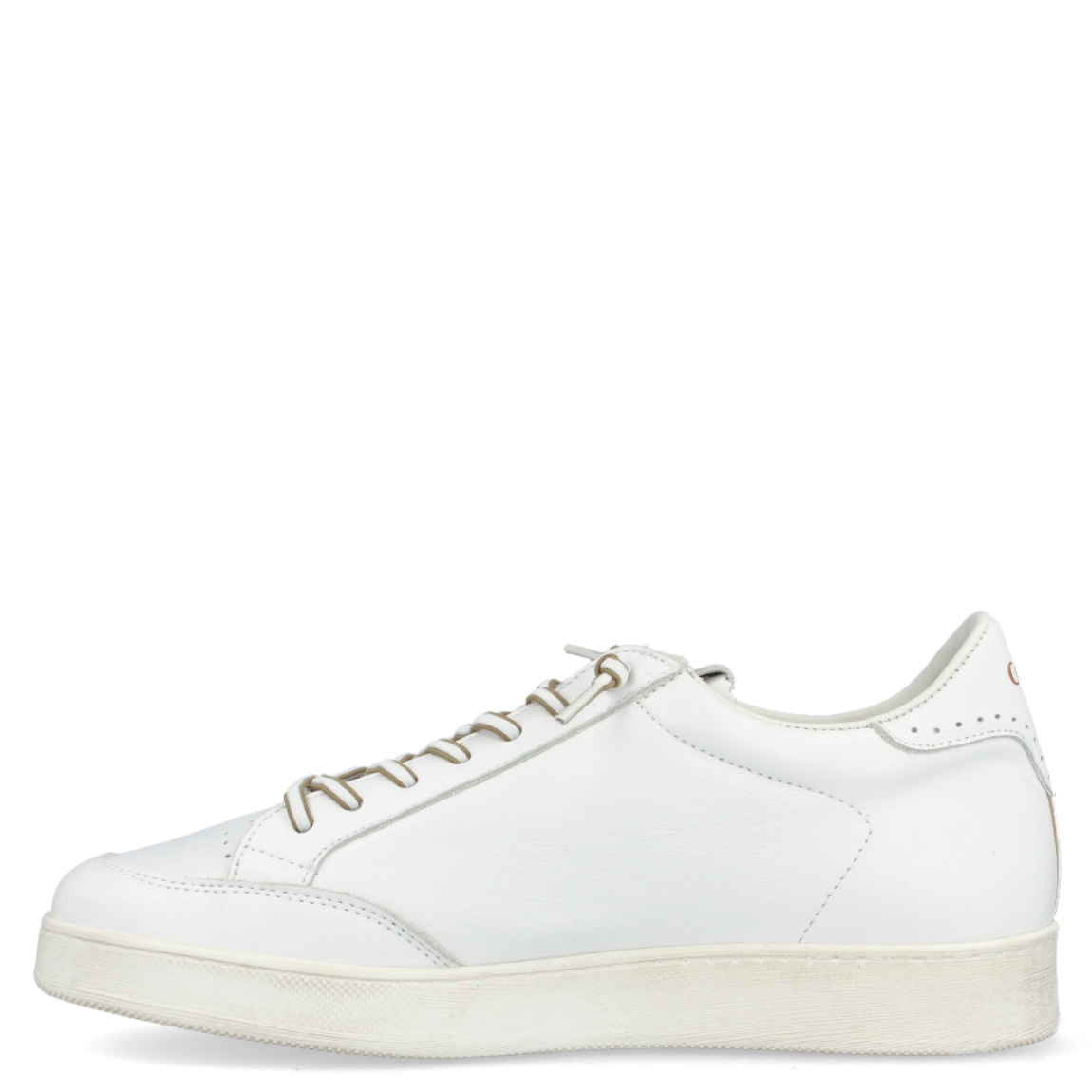 Deportiva clásica de la marca Cetti, modelo 1307. Exterior de la deportiva de piel de color blanco. Interior de la deportiva de piel de color blanco. Deportiva con cierre con cordones elásticos. Deportiva con suela de goma de 2 cm de cuña. Plantilla muy cómoda, acolchada para garantizar la máxima comodidad. La deportiva 1307 de Cetti es una deportiva básica e ideal para ir cómodo cada día.