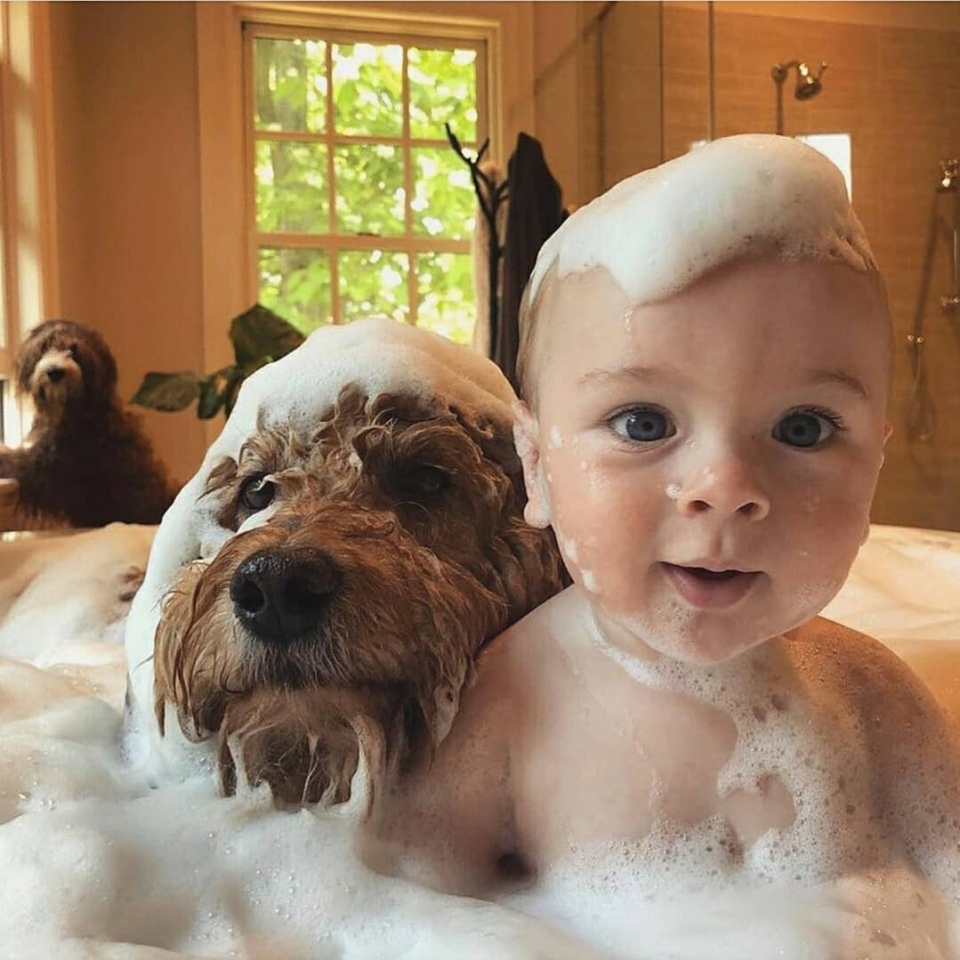 Abundante ternura❤ . . . . . #animales #cachorro #animal #naturaleza #pets #mascotas #perros #love #animallovers #naturaleza #dog #dogs #instagram #cute #cachorros #cat #perro #petstagram #dogsofinstagram #photography