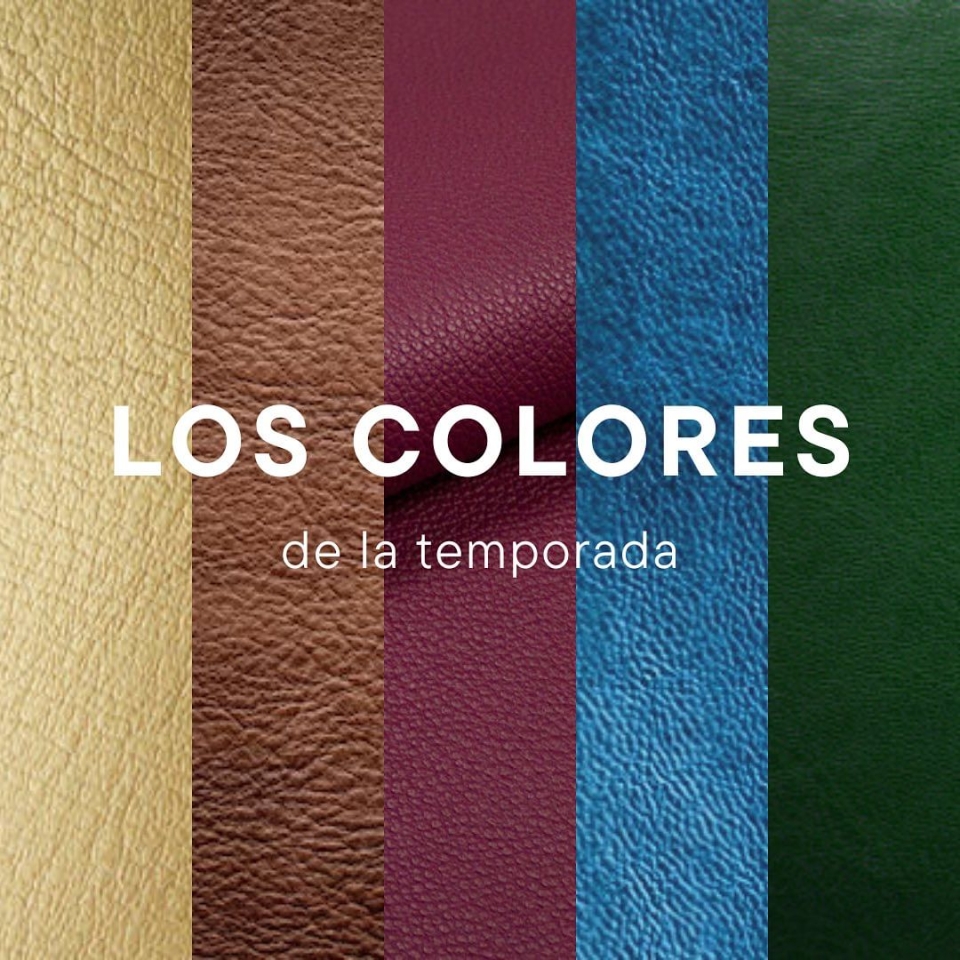 Esta temporada Otoño-Invierno 23/24, la moda se pinta de lujo y elegancia con los colores de la naturaleza. Desde el atrevido dorado hasta el elegante marrón chocolate, el apasionado burdeos, el atemporal azul y el fresco verde, nuestros zapatos, bolsos y accesorios se visten con la paleta de la temporada. Descubre cómo estos tonos modernos te llevarán del día a la noche con estilo. #ModaOtoñoInvierno #Tendencias23/24 #ColoresDeLaTemporada